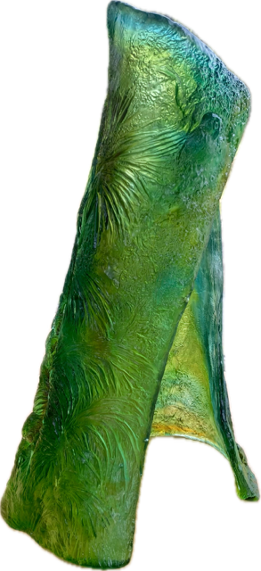 Subject 8